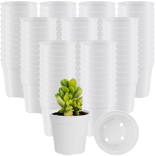 200 Pcs 2 Inch Black Mini Nursery Pots with Drainage Holes - view 7