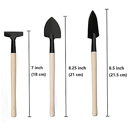 Gardening Tool Set (6 Pcs) Spade Shovel Rake for Garden Plants Care House Plants Flower Pot Cactus Vegetables Kids Indoor Small Plants Mini Medium Plant Tool Succulent Kit - view 3