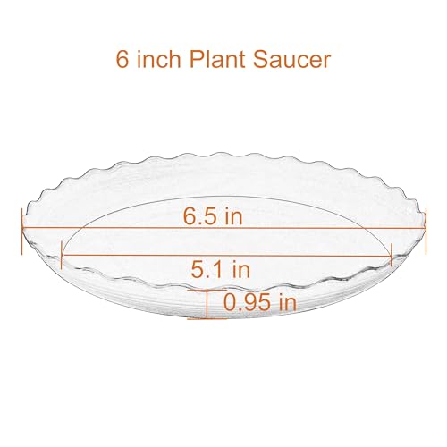 6 Pack Plant Saucer, 6 inch Plant Trays for Pots, Heavy Duty Plant Saucers for Indoors no Holes, Plastic Plant Saucer for Planter (6", Black) - view 2