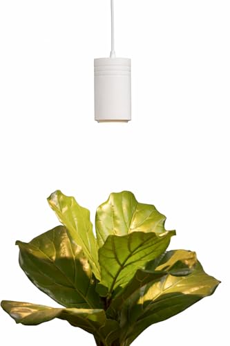 Aspect Soltech Decor Pendant Grow Light for Houseplants, Warm White, White