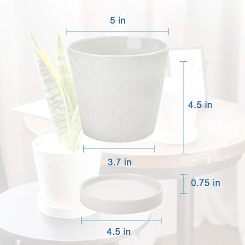5in Ceramic Flower Pots Set of 4 Plant Pot with Drainage Hole - view 5