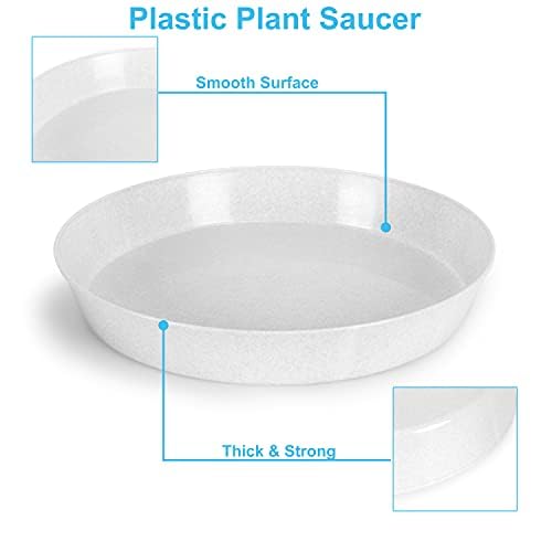 Plant Saucers 6in (4.5" Base) Case of 5 - view 3