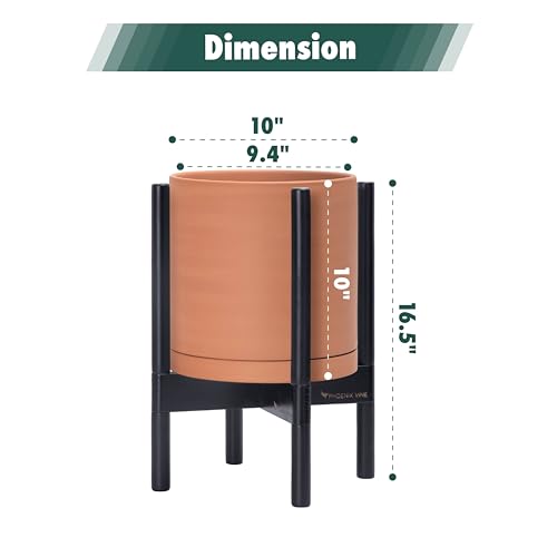 Terracotta Pot with Ebony Wood Stand, 10 in, 55-B-L-5 - view 3