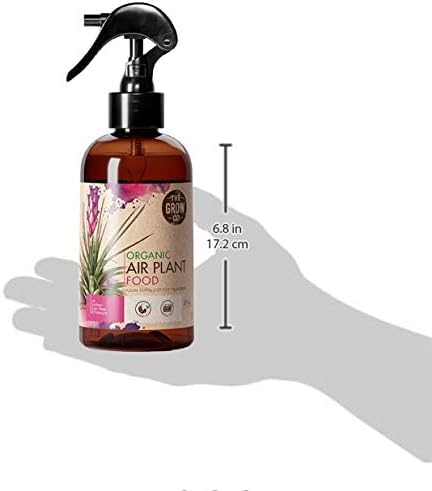 Organic Ready to Spray Air Plant Food - Fertilizer Mist for Weekly Use - Best for Live Tillandisa, Bromeliads, and Other Common Air Plants (8 oz) - view 2