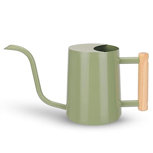 Metal Watering Can for Indoor Plants, 35oz Sage Green Cute Stainless Steel Pot with Long Spout for Indoor House Plants Bonsai Outdoor Garden Flower Decorative