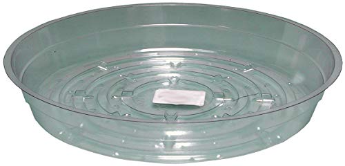 HGS8 Clear 8-Inch, Pack of 25 Saucer