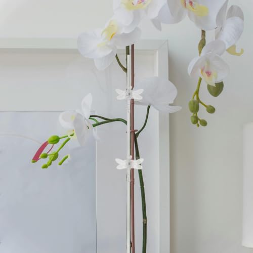 Single Stem Orchid Plant Support Stake, Plastic Upright Growth Guide - view 5