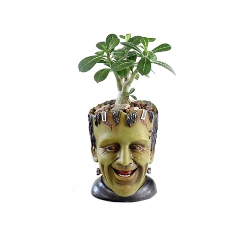 Funny Planters Head Planter for Indoor Plants, Succulent Pot with Drainage Hole Fairy Garden Resin Cactus Pencil Holder Desk Storage Gift for Women Men Plant Pot - view 3