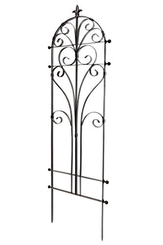 Scroll Garden Trellis 58" H, Freestanding Heavy Duty Iron 24 lbs