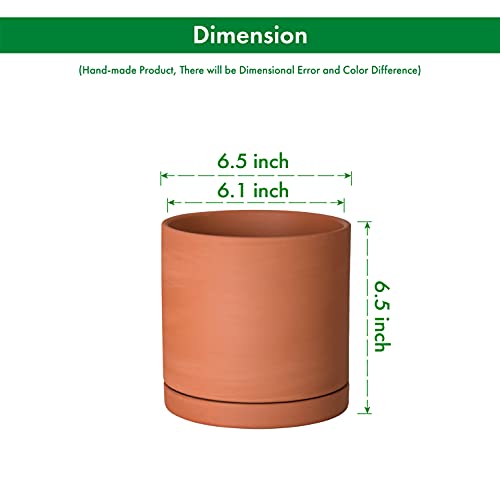 Terracotta Plant Pot with Saucer, 6 Inch, 40-X-A-3 - view 3