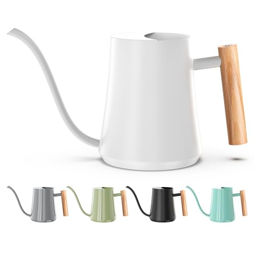 1L/35oz Metal Watering Can Indoor with Long Spout, White