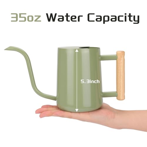 Metal Watering Can for Indoor Plants, 35oz Sage Green Cute Stainless Steel Pot with Long Spout for Indoor House Plants Bonsai Outdoor Garden Flower Decorative - view 2