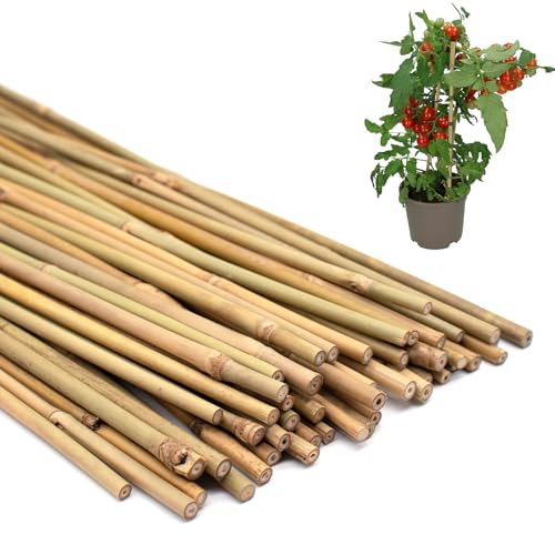 Plant Stakes 50Pcs 18IN, Premium Natural Bamboo Stakes Garden Stakes