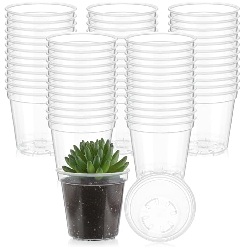 200 Pcs 2 Inch Black Mini Nursery Pots with Drainage Holes - view 6