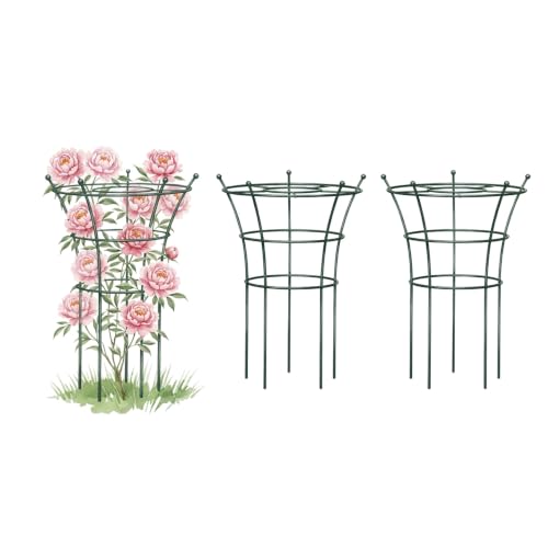 Peony Cages and Supports 2 Pack, Heavy Duty Metal Flower Support Cage, 24"(W) x 36" (H) Trumpet Plant Support for Peonies, Roses, Perennials & Garden Flowers, Rust-Resistant Steel Plant Support Ring