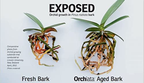Orchid Bark | 100% Pure New Zealand Pinus Radiata | Classic ' to ' Organic Potting Bark for Aeration and Longevity - view 4