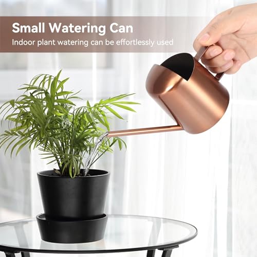10oz/300ml Watering Can Indoor Plants, Long Spout Small Watering Sprinkling Pot Mini Stainless Steel Water Can Garden Water Pot for Indoor House Plants Bonsai - view 6