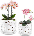 Ceramic Orchid Pots 5+6 Inch White with Drainage Holes & Tray, Breathable Airflow, Indoor & Outdoor