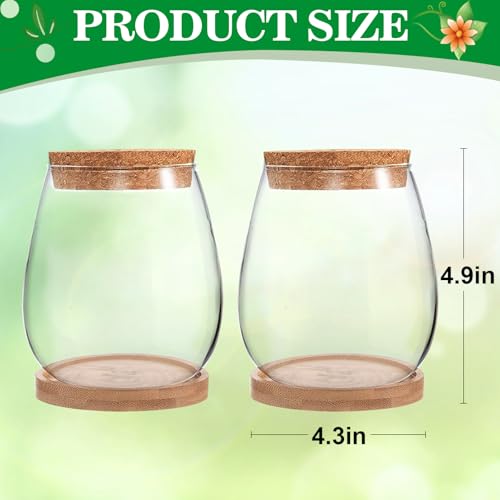 2 Pcs Glass Plants Propagation Stations for Home Office Decor - view 7