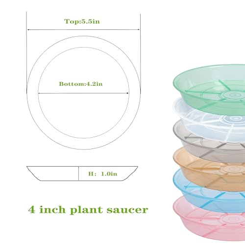 Plant Saucer 4 inch 6 Pack Drip Tray, 4 5 6 8 9 10 12 14 16 18 inch, Heavy Sturdy Plastic Planter Flower Pot Saucers for Indoor Outdoor Garden, Plant Water Drip Trays for pots Base (4", Clear) - view 2