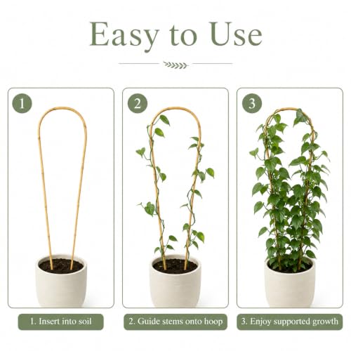 24in Natural Bamboo U-Hoop Trellis for Climbing Plants, 10 PCS - view 4