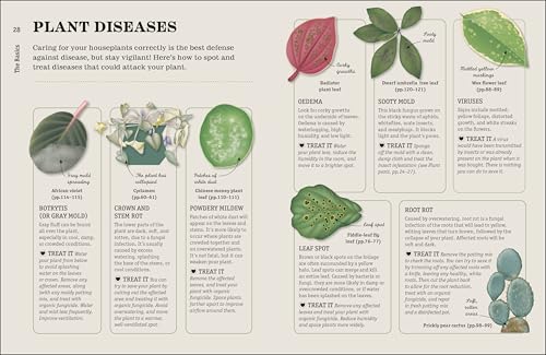 How Not to Kill Your Houseplant New Edition: Survival Tips for the Horticulturally Challenged - view 4