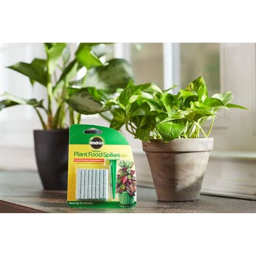 Indoor Plant Food Spikes, Includes 24 Spikes - Continuous Feeding for all Flowering and Foliage Houseplants - NPK 6-12-6 - view 4