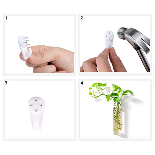Wall Hanging Vases, 4 Pack Glass Plant Propagation Tubes - view 6