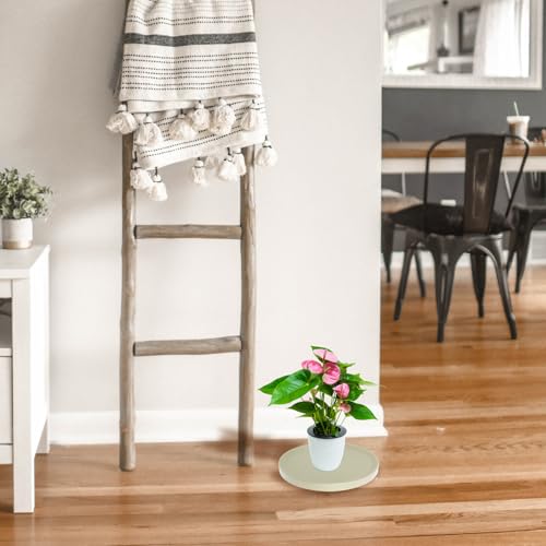 Plastic Plant Pot Base Stand with Wheels, Water Storage and Mobility - view 5