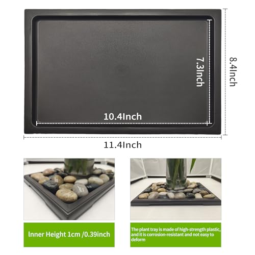 2 Packs Bonsai Humidity Plant Tray Drip Trays, Square Plastic Pot Saucer Draining Tray for Indoors Outdoors for Cactus, Succulents, Bonsai Tree, Stone to Drain, Protect, Decorate(11.4*8.4Inch) - view 2