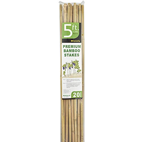 Natural Bamboo Stakes 57 Inch (Approx 5 FEET), Eco-Friendly Garden Stakes, Plant Stakes Supports Climbing for Tomatoes, Trees, Beans, 20 Pack - view 6