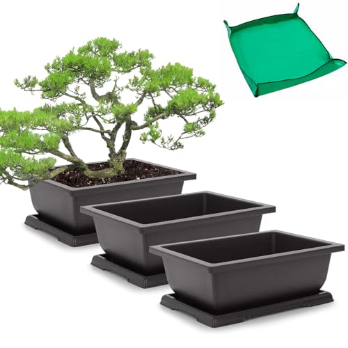 11 Inch Bonsai Training Pots with Drainage Trays & Repotting Mat