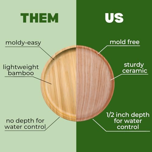 Ceramic Plant Saucer | Plant Trays for Indoors | Drip Tray | Plant Pot Saucers (4.5in + 5.75in, Wooden Grain) - view 6