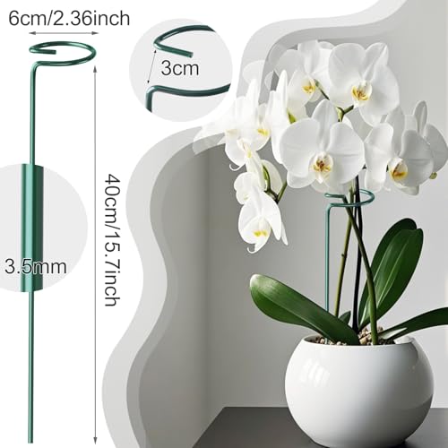 24 Pack Plant Support Stakes, 16 Inch Metal Garden Plant Stakes Single Stem Support Rings for Indoor Outdoor Amaryllis, Flowers Orchid, Lily, Peony, Rose, Tomato, Monstera, Narcissus - view 4