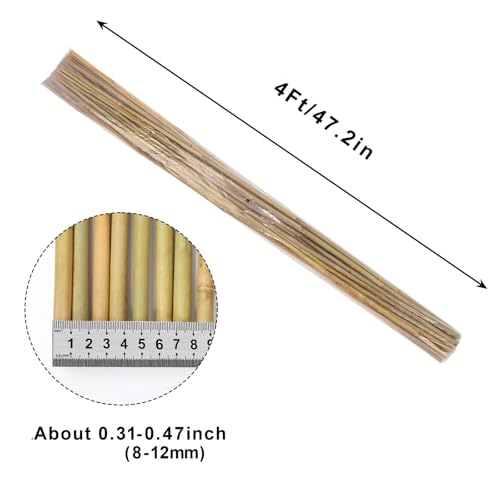 Natural Bamboo Poles, 4 Feet Bamboo Sticks for Plants, Wood Garden Stakes for Tomato, Bean, Flowers, Trees Potted and Climbing Plants, 25 Pack - view 3