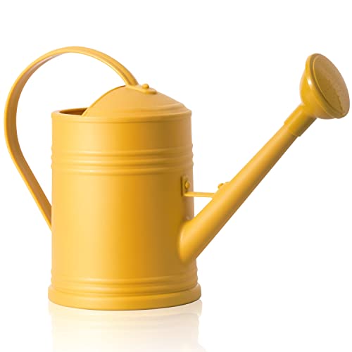 Plastic Indoor Watering Can with Detachable Sprinkler Head - 68oz (1/2 Gallon) for House Plants and Flowers - view 2