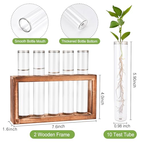 2pcs Desktop Glass Plant Propagation Station (10 Tubes) - view 2