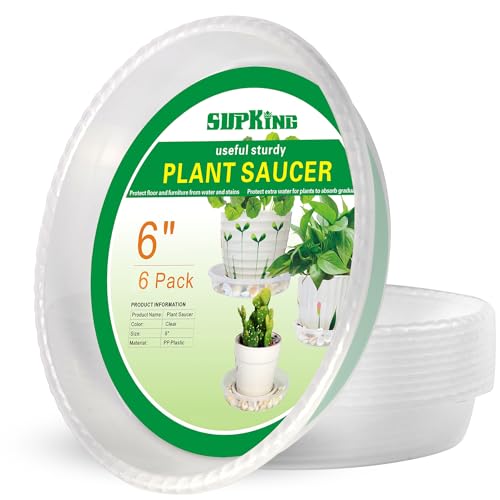 6 Pack Plant Saucers Drip Tray,6 8 10 12 14 Inch Heavy Sturdy Plastic Flower Pot Saucers for Indoor,Clear Plastic Planter Water Tray for Plant Pots Liners (6''-Clear)