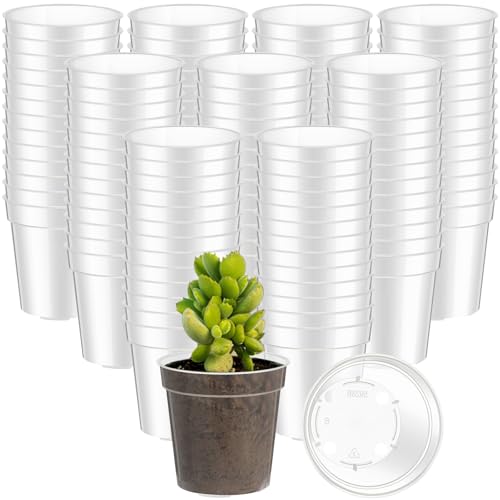 200 Pcs 2 Inch Black Mini Nursery Pots with Drainage Holes - view 5