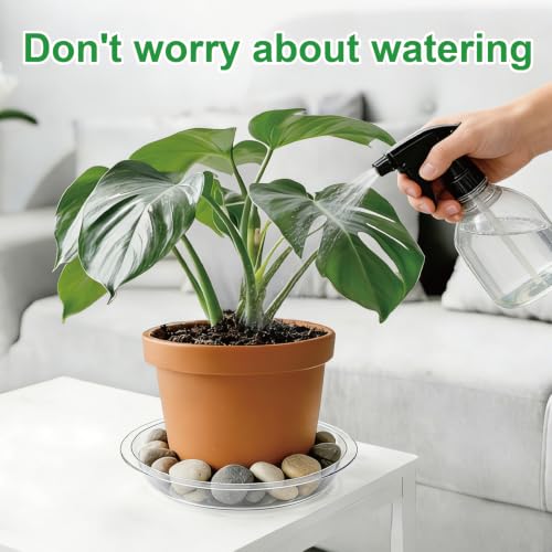 20 Pack Clear Plant Saucers (6/8/10/12 in) – Indoor/Outdoor | Plant Saucer, Plant Trays, Plant Drip Trays, Plant Water Catcher Tray, Plastic Trays for Plants, Flower Pot Saucers. - view 5