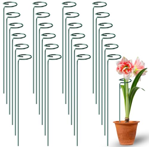 24 Pack Plant Support Stakes, 16 Inch Metal Garden Plant Stakes Single Stem Support Rings for Indoor Outdoor Amaryllis, Flowers Orchid, Lily, Peony, Rose, Tomato, Monstera, Narcissus