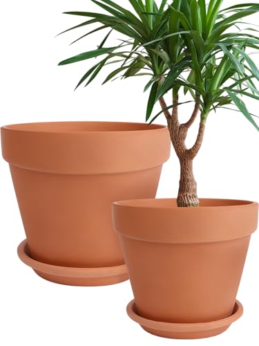 Terracotta Pot with Saucer 10&12 Inch - Ceramic Clay Pot for Plants with Drainage Hole, Large Terra Cotta Flower Planter with Tray for Indoor Outdoor Plants