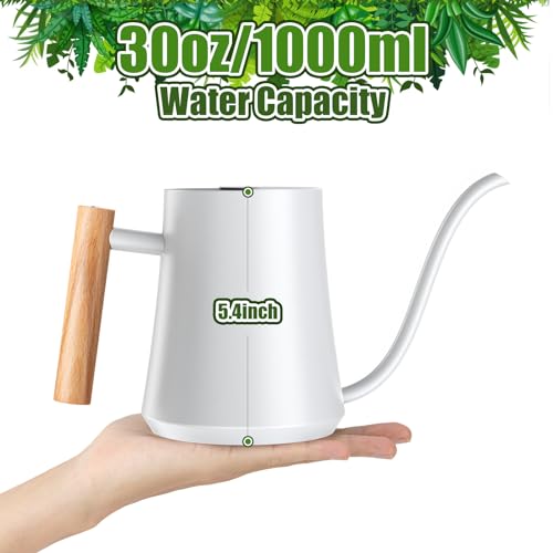 1L/35oz Metal Watering Can Indoor with Long Spout, White - view 2