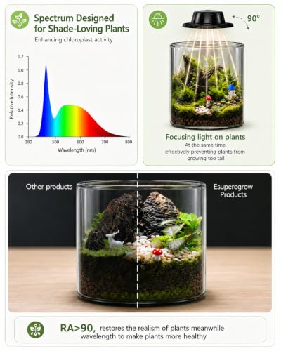 Plant Terrarium Kit with Rechargeable Grow Light 8", Gift for Mom (L) - view 5
