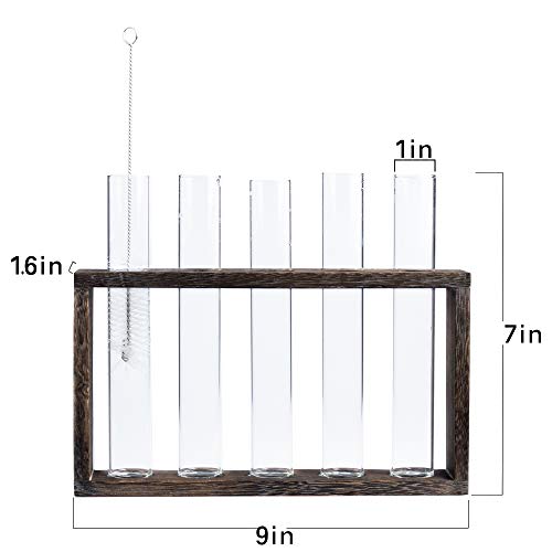 5 Tube Wooden Plant Propagation Station, Tabletop Glass Terrarium Holder for Cuttings Hydroponics, Home Office Desk Decor Gift for Women Mom Plant Lovers, Brown - view 6