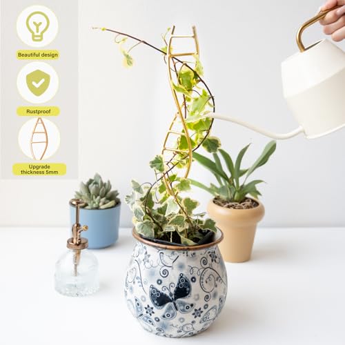 3PCS DNA Plant Trellis Indoor & Outdoor,Metal Trellis for Pots - view 5