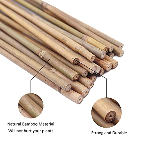 Natural Bamboo Garden Stakes, 20pcs Plant Sticks 18 inches - view 3