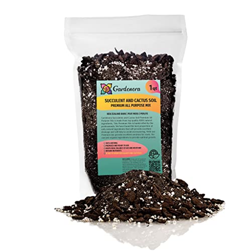 Professional Succulent Soil Premium All Purpose Blend | Pre-Mixed Ready to Use for Cactus and Succulents | Sphagnum Peat Moss, Perlite, New Zealand Pine Bark - Made in USA - 1 Quart
