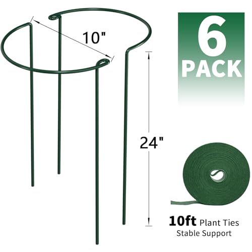 6 Pack Plant Support Stakes Peony Cage 10" W x 24" H Heavy Duty Ring Metal Garden Support Structures Plant Cage with Ties for Indoor Flower Outdoor Tomato Hydrangea Monstera - view 2