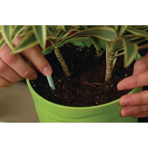 Indoor Plant Food Spikes, Includes 24 Spikes - Continuous Feeding for all Flowering and Foliage Houseplants - NPK 6-12-6 - view 5